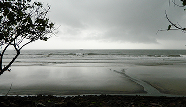 Beaches and Light Life at Dapoli